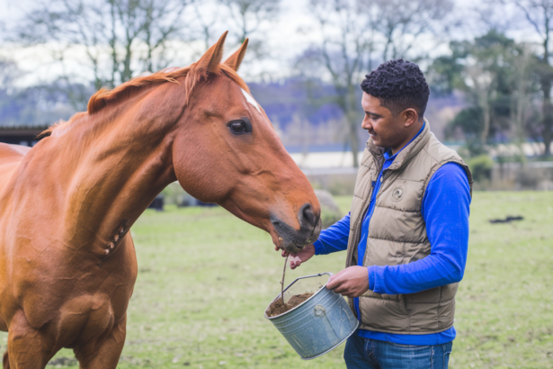 Optimize Your Horse’s Nutrition: Expert