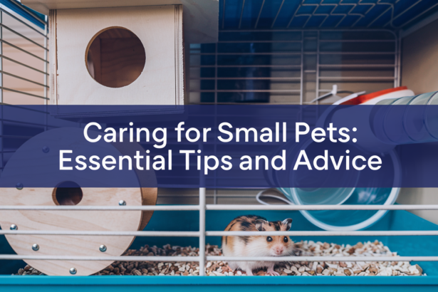 Caring for Small Pets: Essential Tips and Advice